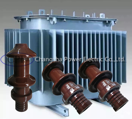 DIN Standard 10000V 10NF250 Transformer Porcelain Bushing OEM موجود است